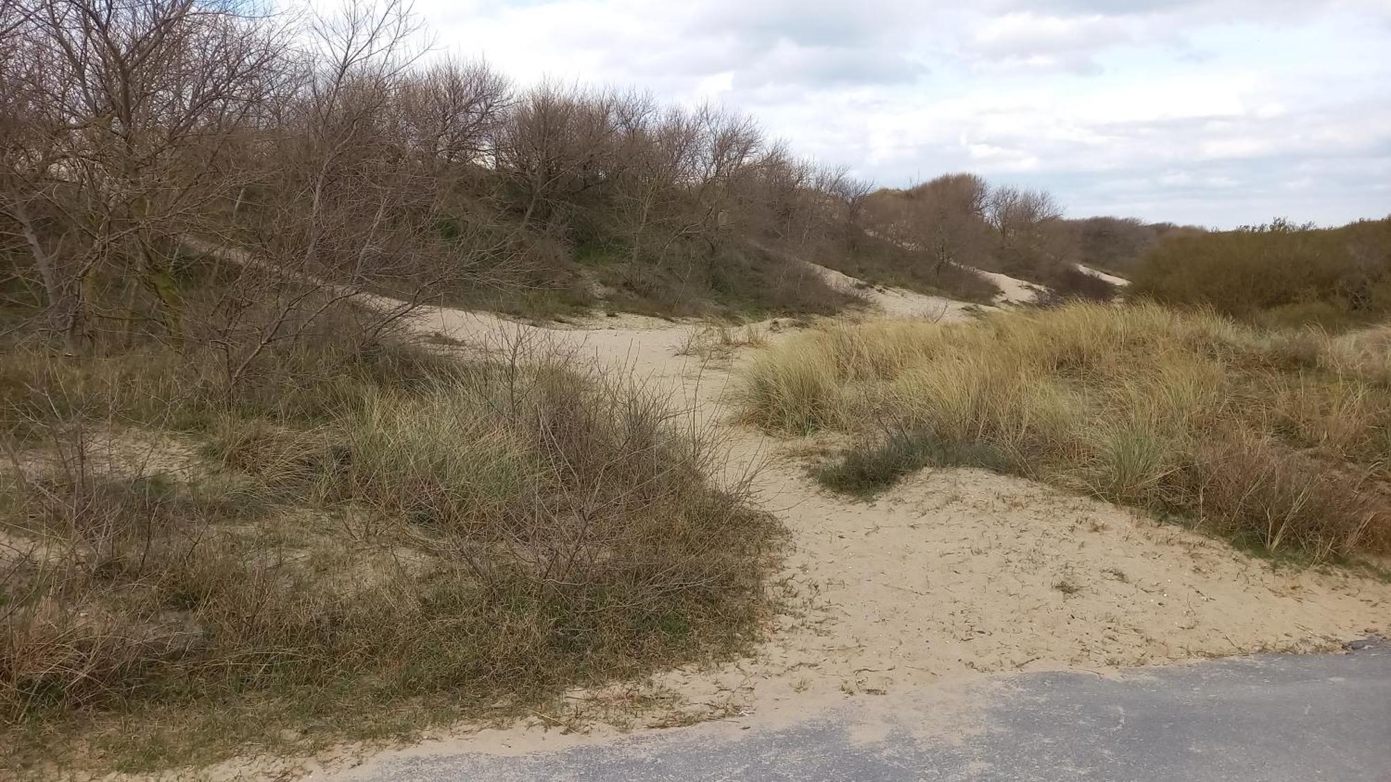 Astrid At 100 Meter From Sea With Parking Place Bredene